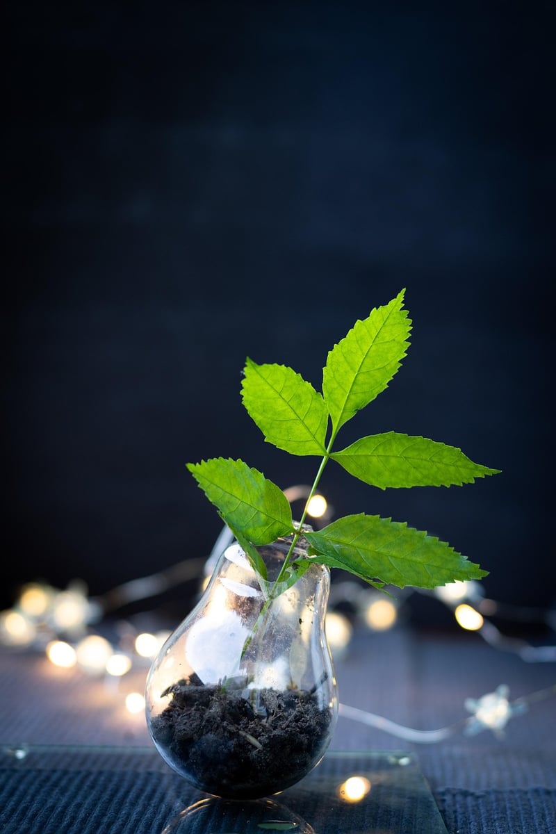 Upcycling Image